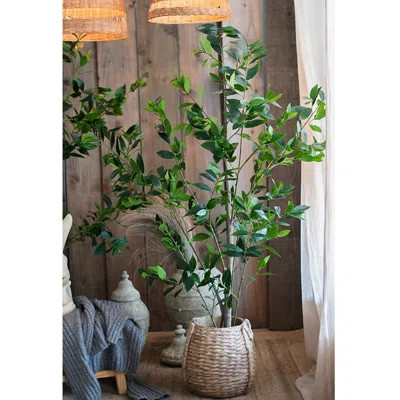 Artificial Bay Tree Green Plant Pot | Wayfair North America