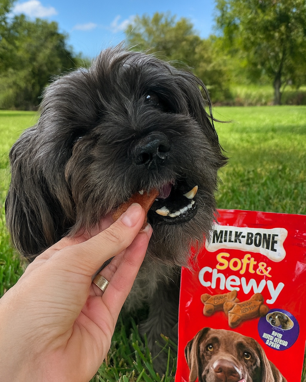 Rocky’s favourite snacks 