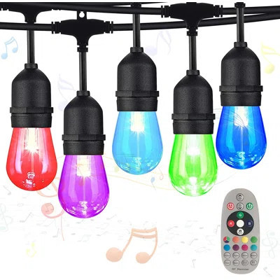 48ft 15-Bulb Color Changing Outdoor Standard String Light with Remote Control | Wayfair North America
