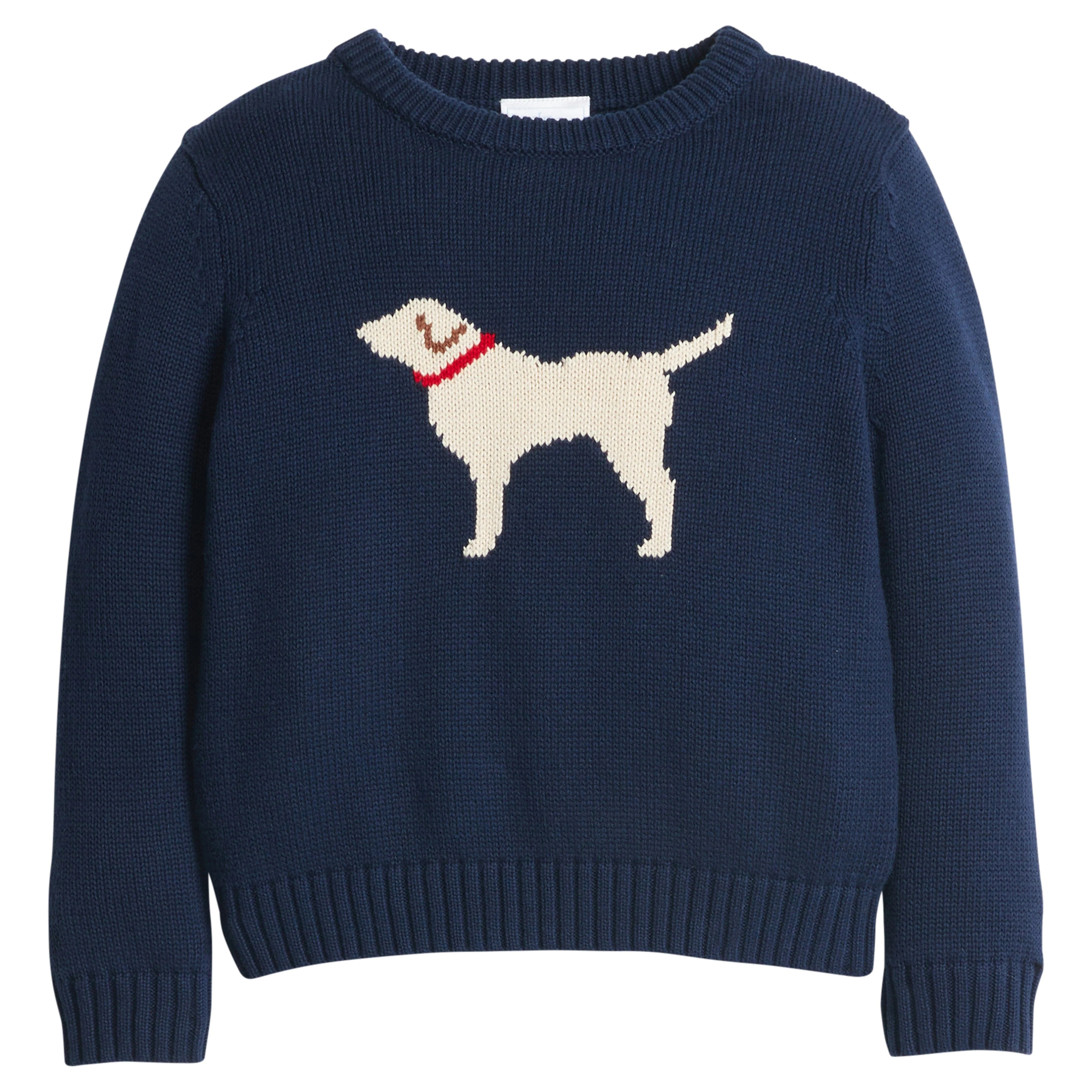 Boy's Blue Lab Puppy Dog Intarsia Sweater | Little English