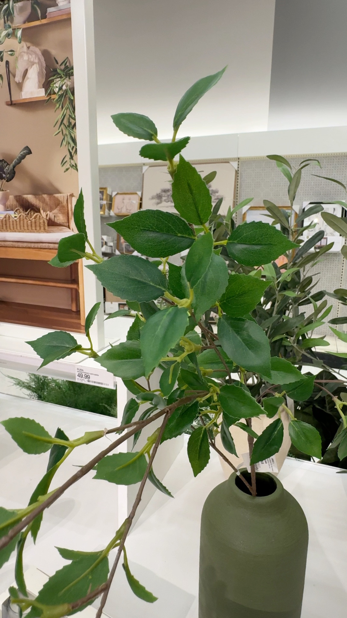 Tall Banyan faux stems from Target! These are perfect for spring floral arrangements and spring home refreshes. 

#target #fauxstems #springflorals

Spring stems, banyan stems, fake florals, Target fake stems, stems for vases, 

#LTKHome