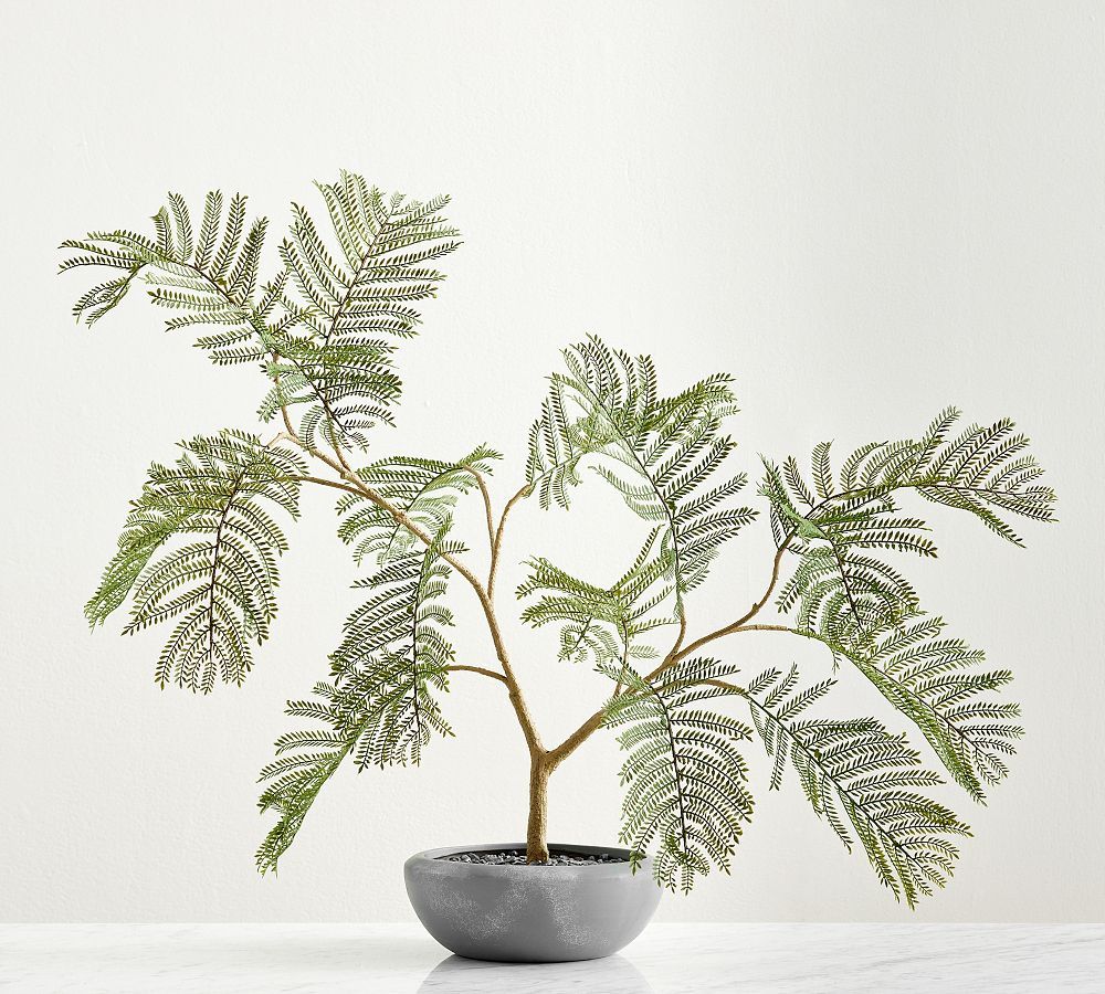 Faux Potted Grey Fern | Pottery Barn (US)