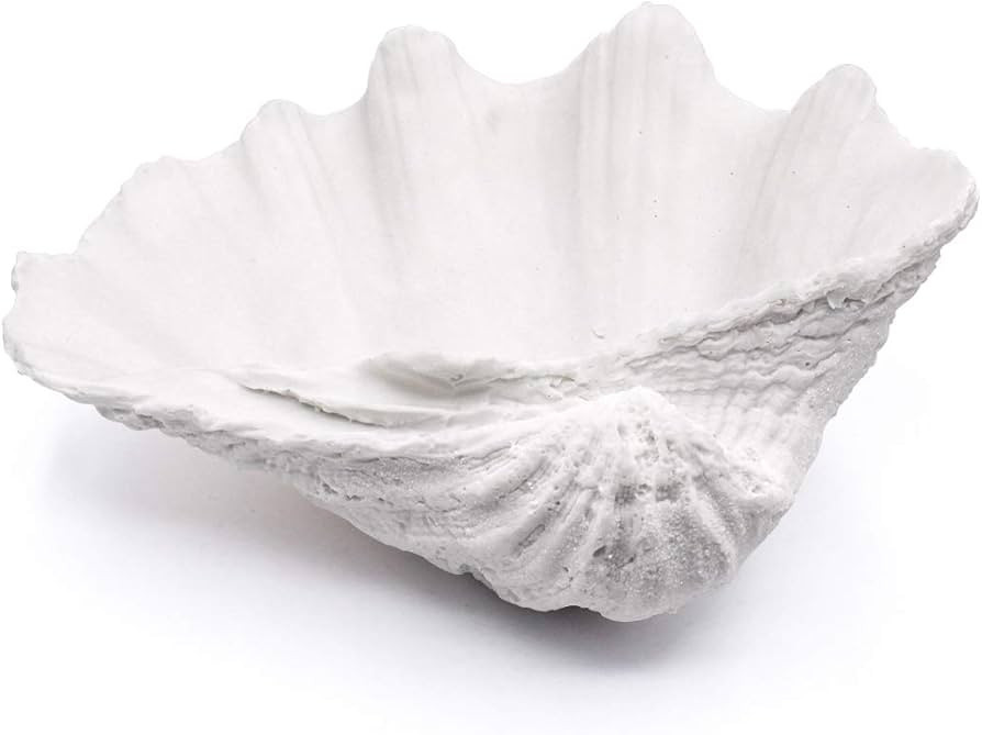 Seashell Decorative Bowl Clam Shell Decor Bowl Nautical Home Decor Coastal Bathroom Decor Beach P... | Amazon (US)