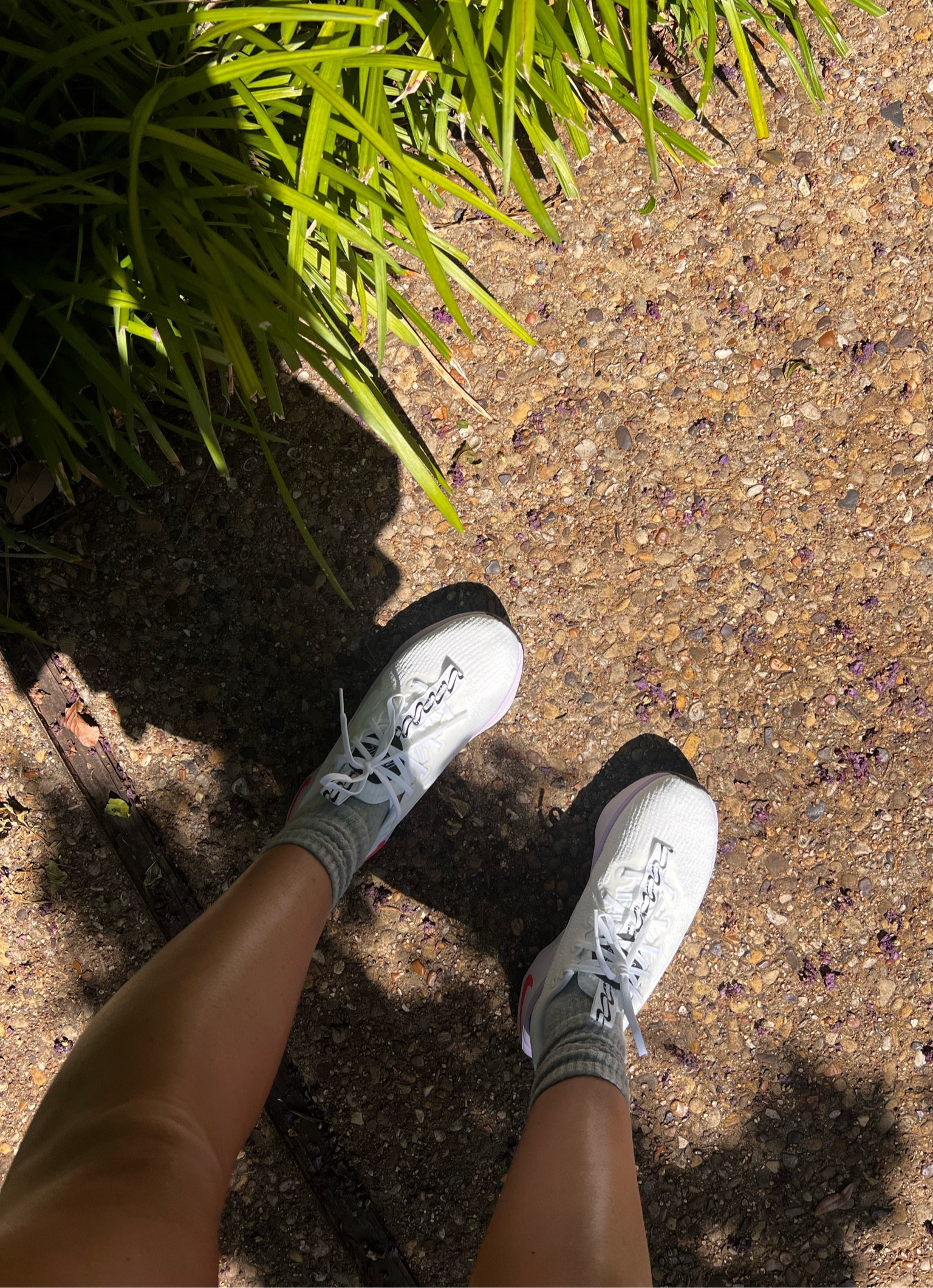 fav walking shoes 

#LTKActive #LTKFitness