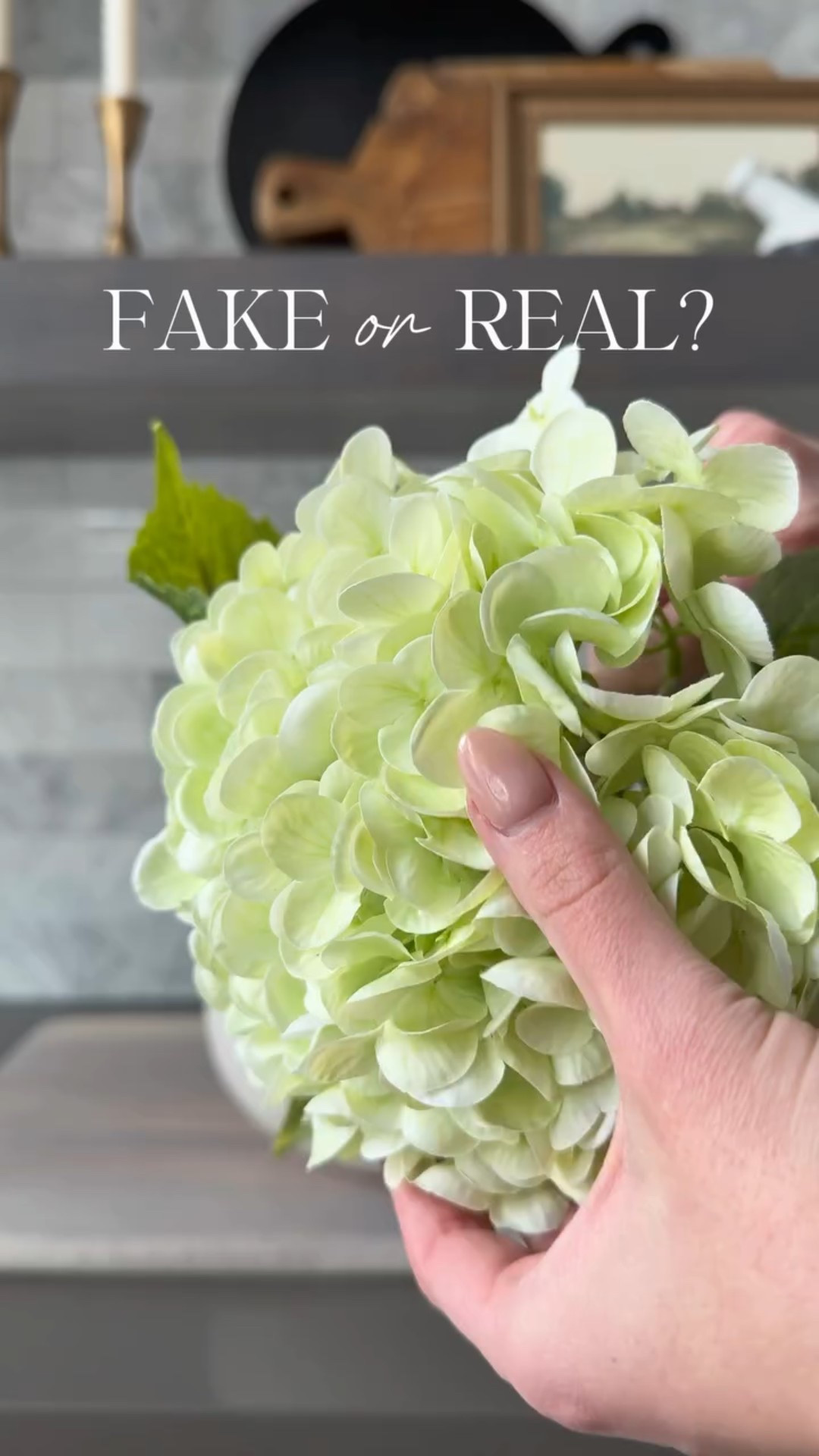 Be honest… would you know these aren’t real? 🌸

These faux hydrangeas from Amazon look that good and the price is almost too good to be true!! I ordered several different brands last year and was so happy when I found these! They are unbelievably realistic and look just like the designer version I have!! 


faux hydrangea stems, amazon faux flowers, realistic artificial hydrangeas, amazon home decor finds, designer inspired decor, spring home decor, affordable home accents #amazonhomefinds #fauxflowers #homedecorinspo

#LTKSeasonal #LTKFindsUnder50 #LTKHome