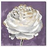 The Oliver Gal Artist Co. White Floral and Botanical Wall Art Canvas Prints 'Lilac Ranunculus' Home  | Amazon (US)