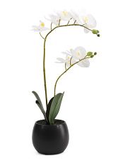 21in Real Touch Orchid In Matte Pot | Marshalls