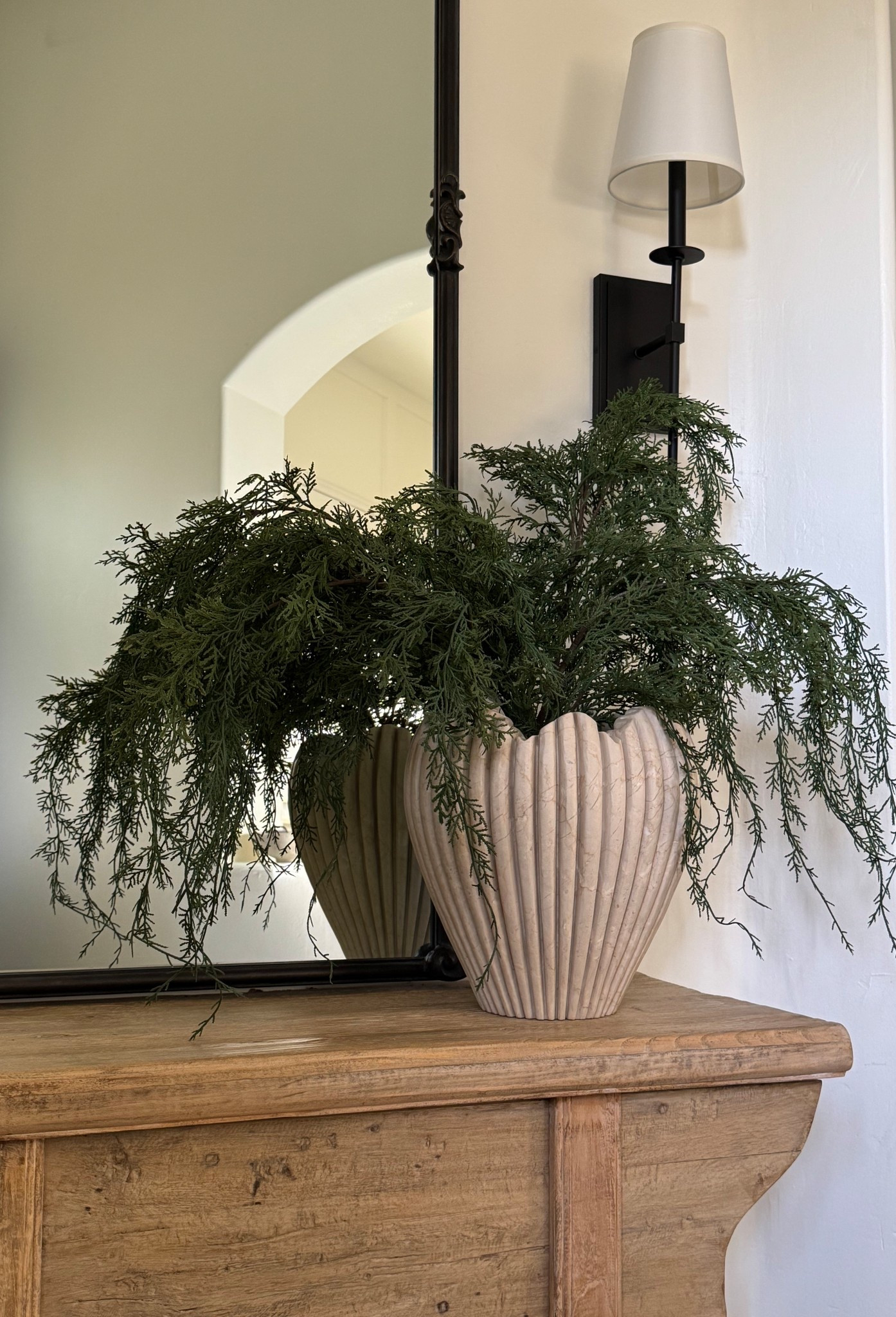 Cyprus stems on sale! 

Holiday decor , console decor 

#LTKHome #LTKStyleTip #LTKHoliday