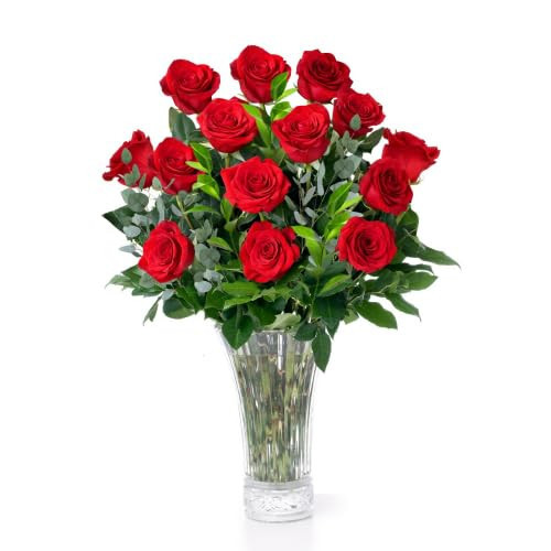 Aquarossa Farms – Flowers for Delivery, Fresh Flowers Bouquet, Handpicked from the Farm, Gift for Birthday, Anniversary, or Just Because – 12 Fresh Roses | Amazon (US)