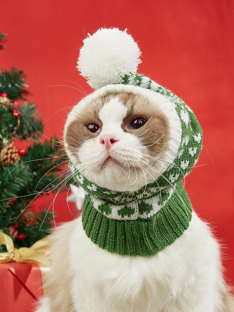 Christmas Plush Ball Pet Hat | SHEIN
