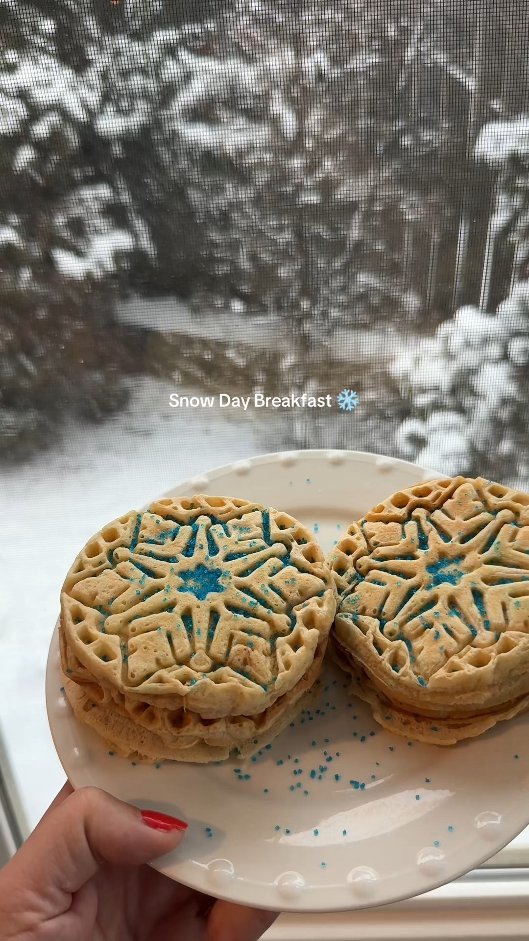 Snow day breakfast 🧇 ❄️ I whipped out our dash mini waffle maker this morning to celebrate our snow day! Love that it comes with different designs for all seasons ♥️ 

#LTKValentine #LTKmorningroutine #LTKKids