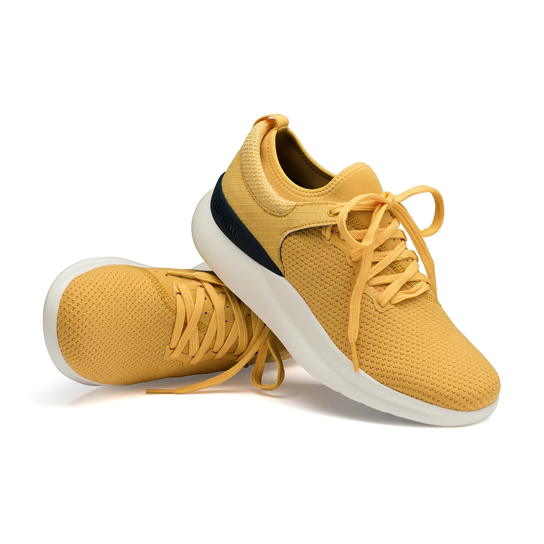 Rhythm | Mimosa | Moshn