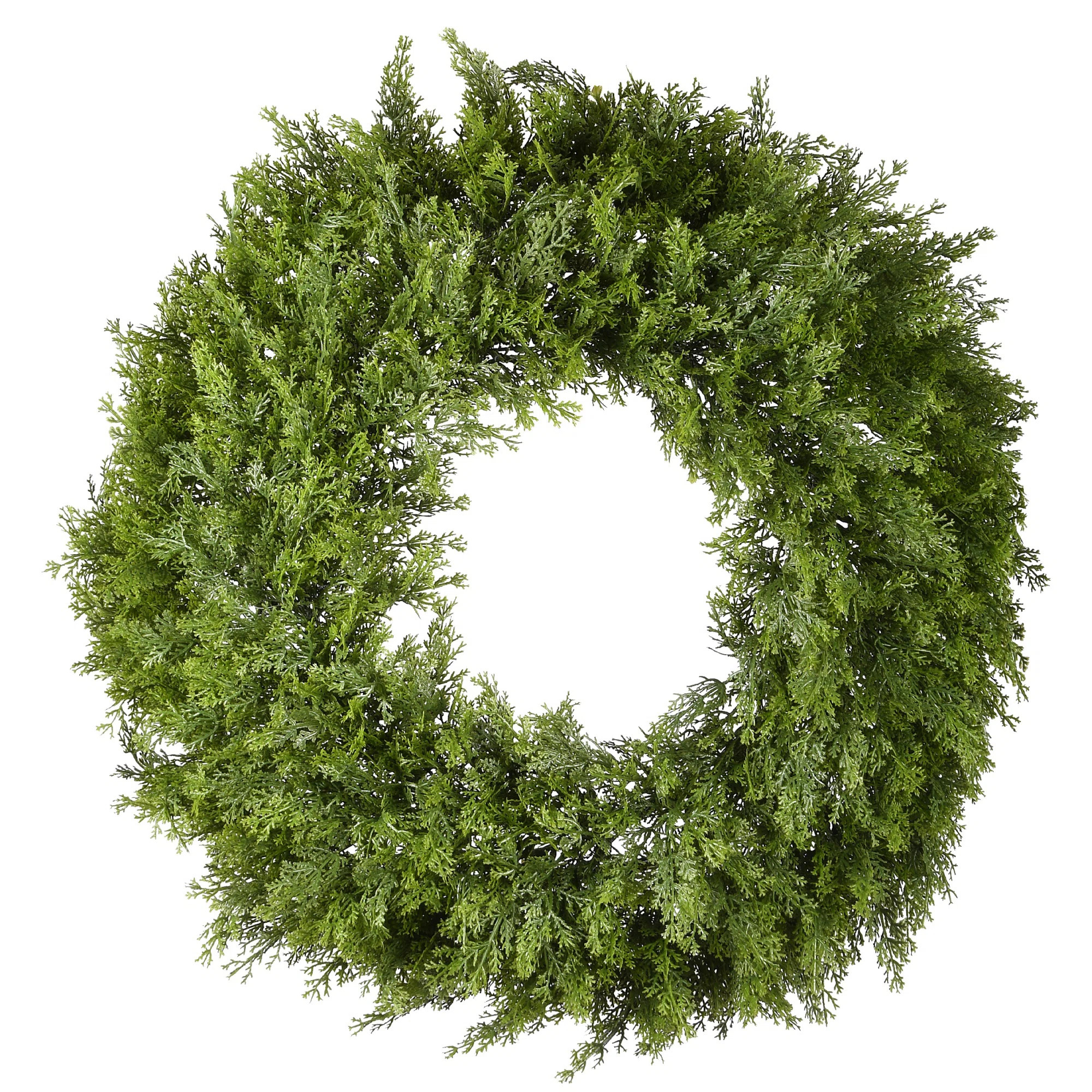 The Holiday Aisle® 24" Arborvitae Wreath | Birch Lane