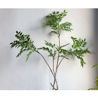 43"" Huge Natural Touch Faux Green Wisteria Leaves/Nandina Leaf Branches, High Quality Artificial Plant, Office/Wedding/Home Decoration/Gifts | Etsy (US)