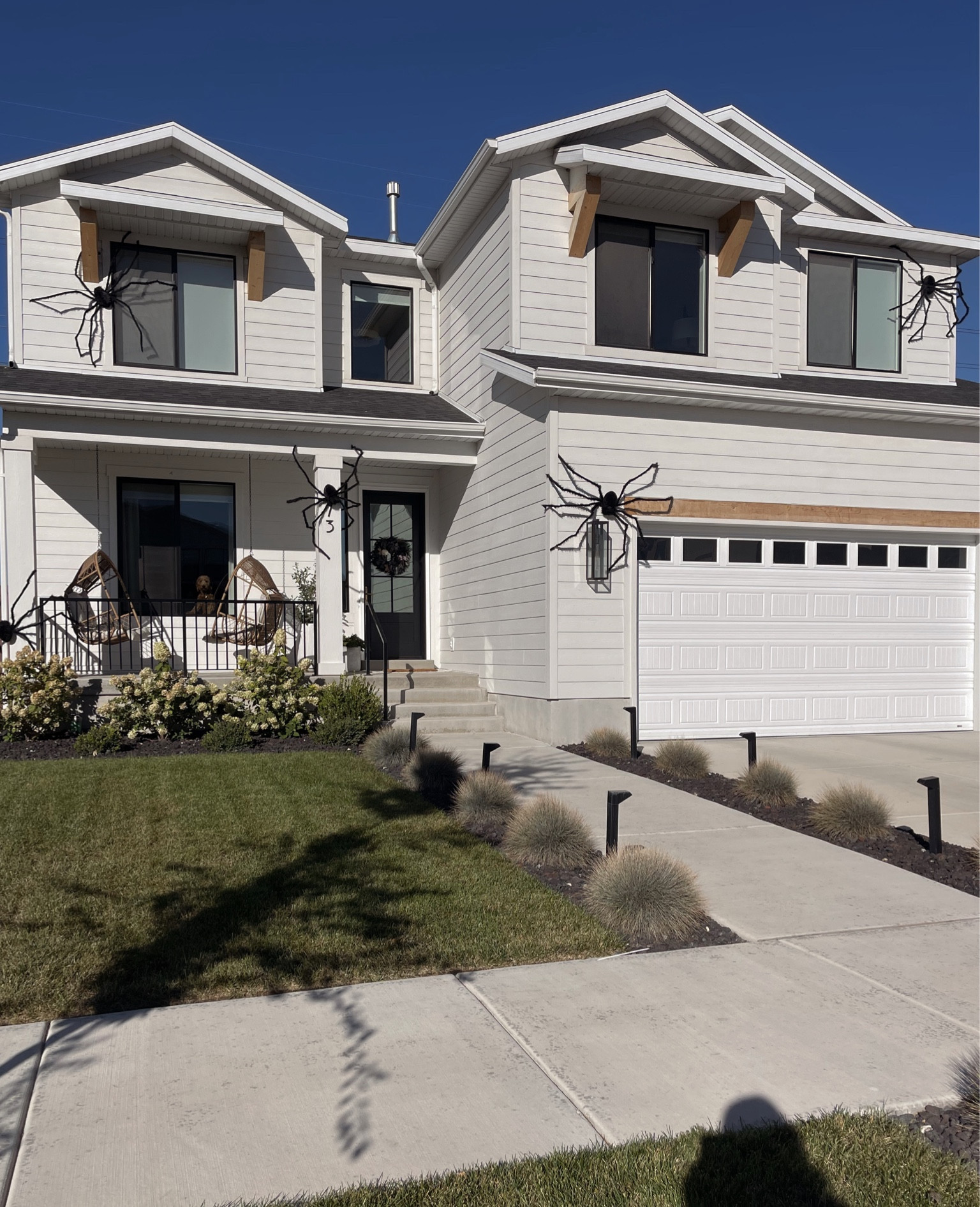 Soooky but keep it cute!! Such a fun way to decorate your house for Halloween! I love these big creepy spiders! And I’m shocked they’re still in stock, they sell out every year! 

#LTKSeasonal #LTKHalloween #LTKHoliday