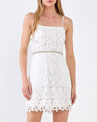 Endless Rose Crochet Lace Bodycon Mini Dress | Express