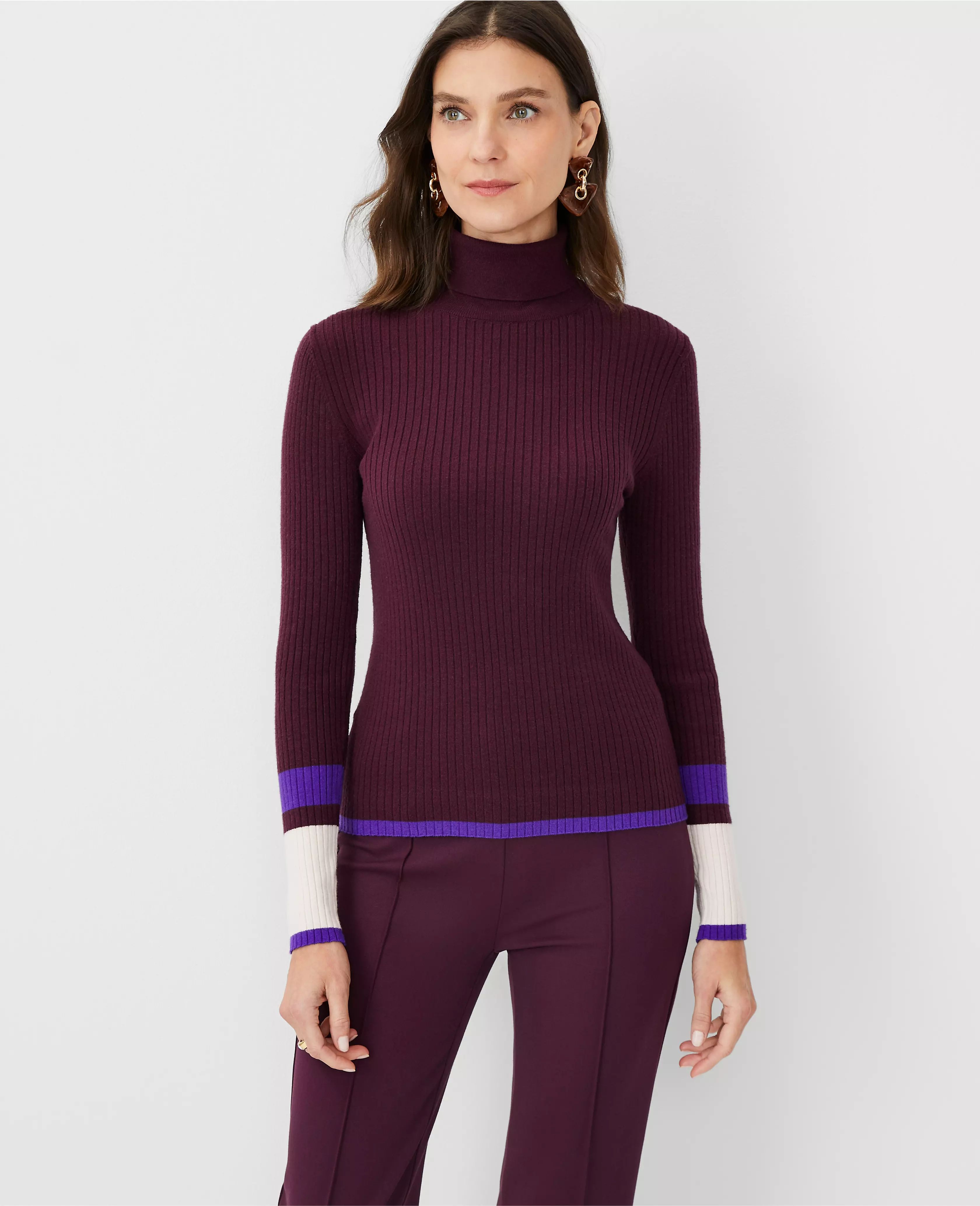Colorblock Ribbed Turtleneck Sweater | Ann Taylor (US)