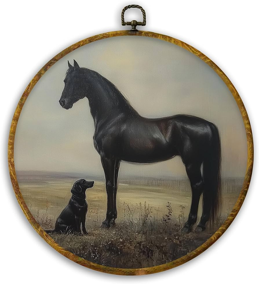 $15.99                            $15.99 | Amazon (US)