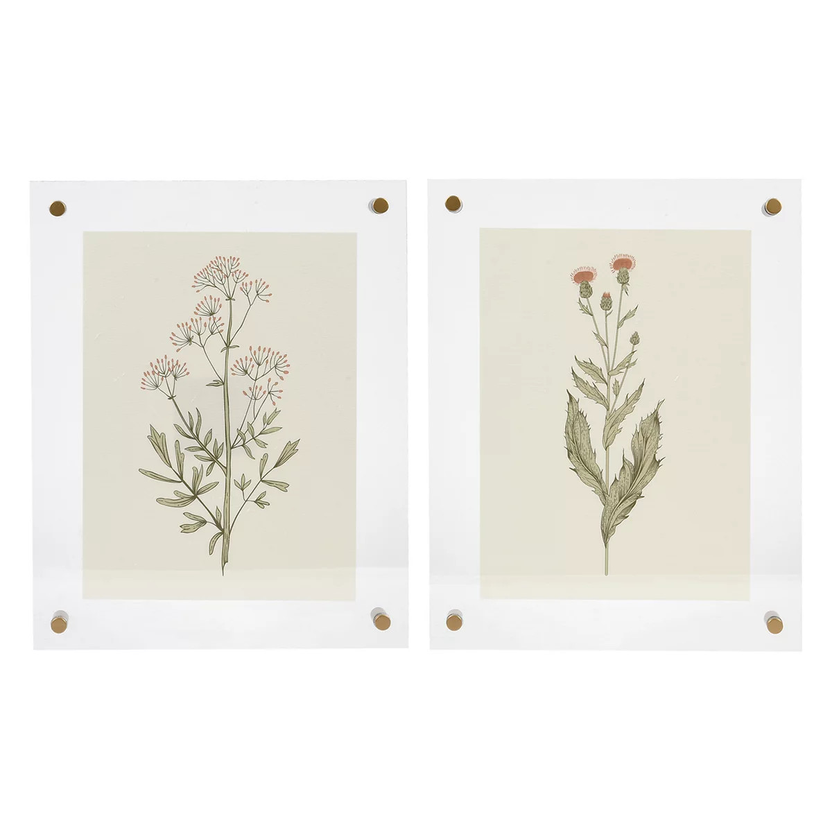 Sonoma Goods For Life® Botanical Wall Art 2-piece Set | Kohl's