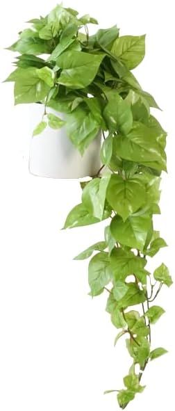 Retrograde 32" Realistic Fake Pothos Ivy Plant for Home Decor Indoor Silk Artificial Plant Large ... | Amazon (US)