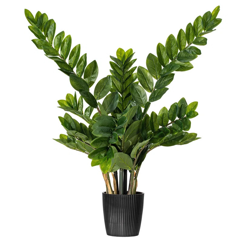 AllModern Zen Potted Green Zamifolia Artificial Bush & Reviews | Wayfair | Wayfair North America