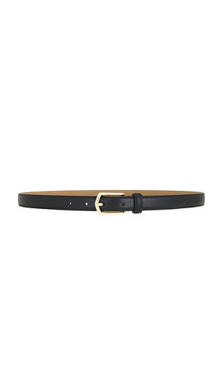 Tova Belt in Black & Gold | Revolve Clothing (Global)