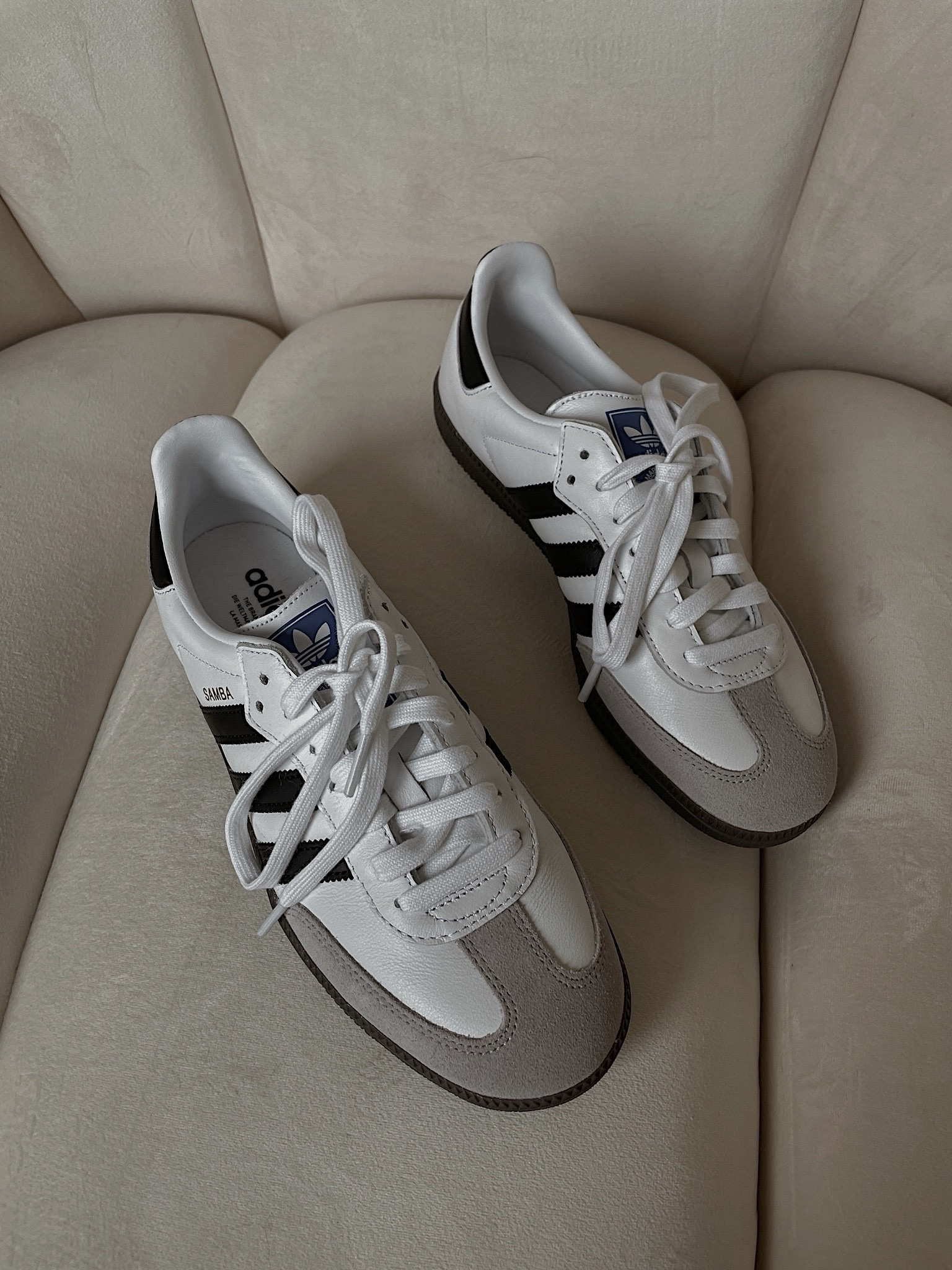 MOST LOVED. Adodas Samba 
➡️Run true to size


#LTKMostLoved #LTKshoecrush