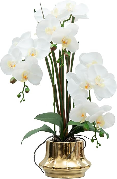 CXGS Artificial Orchid Flower Plant 20.9'' Realistic Latex Faux Orchids in Ceramic Vase White Fak... | Amazon (US)