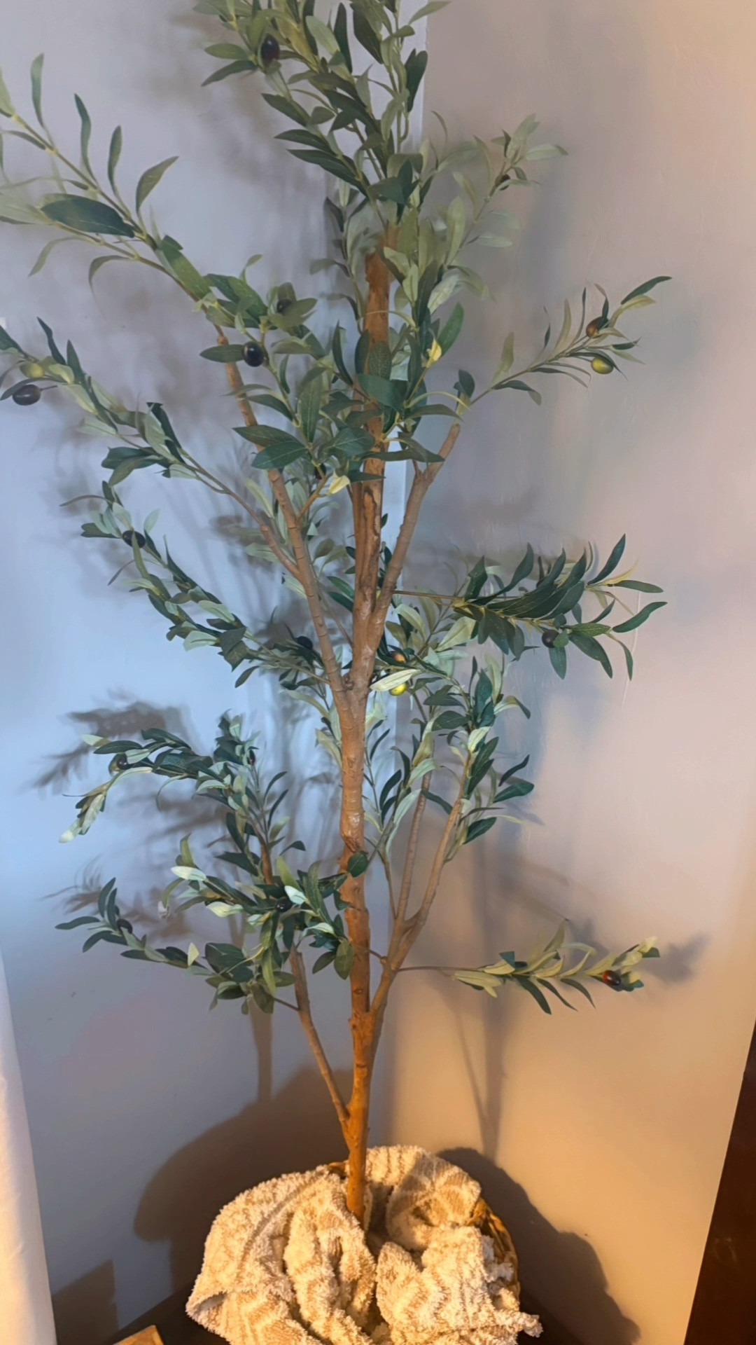 
The Olive tree we all love !!!! 
‼️Danas_Randomfinds‼️ 
Follow☑️Like👍🏻Share🫶🏻
🛍️Where you will get daily random fashion finds based on comfort, quality and style!!!!   Thank you 😊 
#amazonfinds 
#danasrandomfinds #amazonessentials 
#amazonfashion 
#emptynester 
#over50
Below ⬇️ is how you get your links!!

#LTKSeasonal #LTKdayinmylife #LTKHome