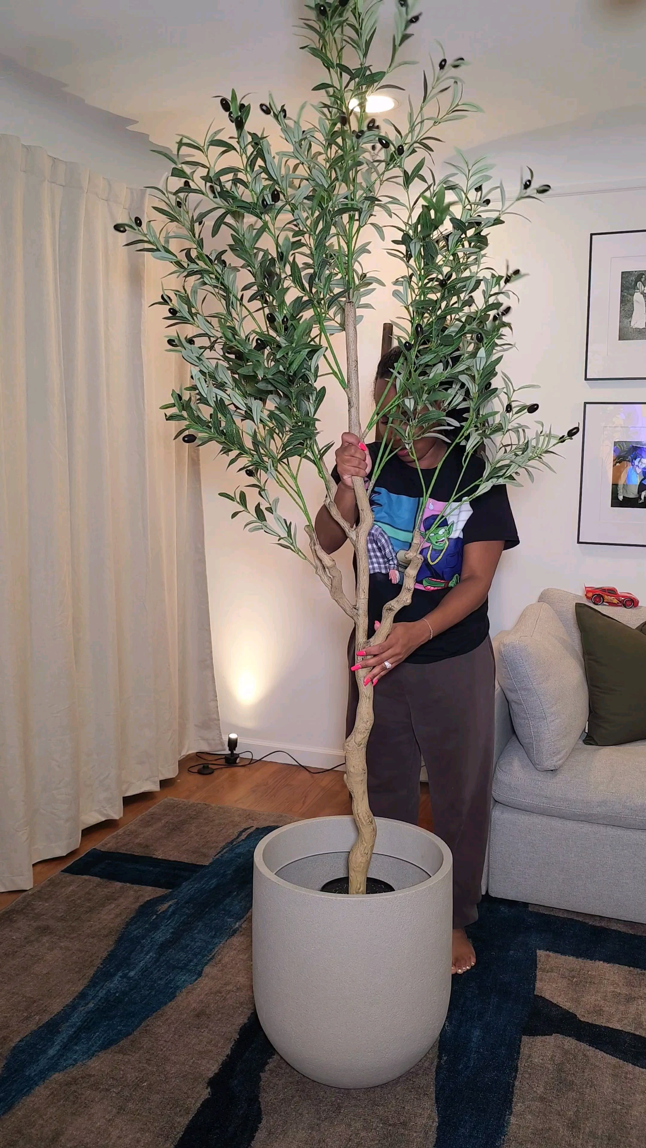 Elevate Your Space with Olive Trees#olivetree #homedecor #amazonfinds #interiordesign #plantstyling

#LTKHome #LTKFindsUnder100 #LTKFamily