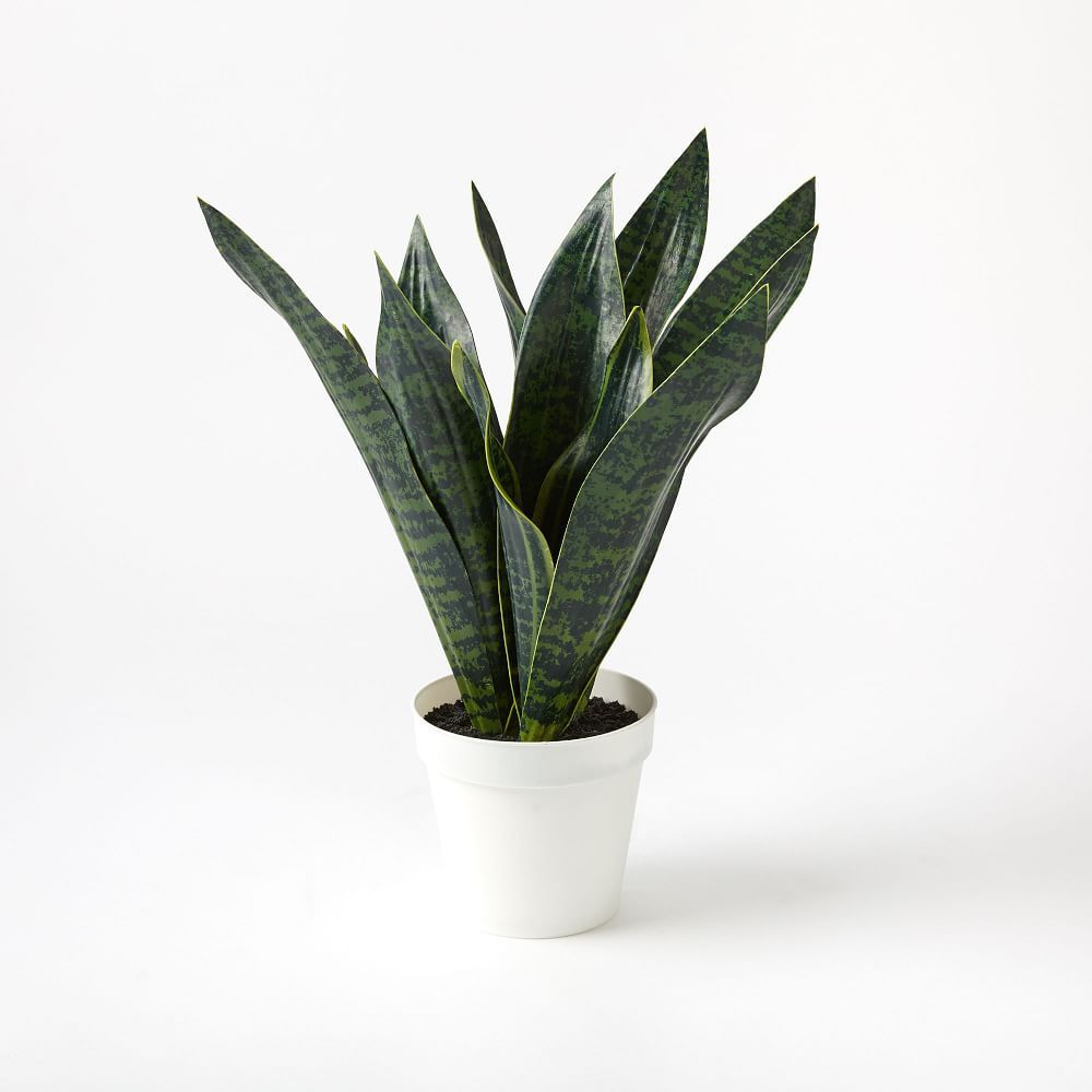 Faux Potted Snake Plant | West Elm (US)