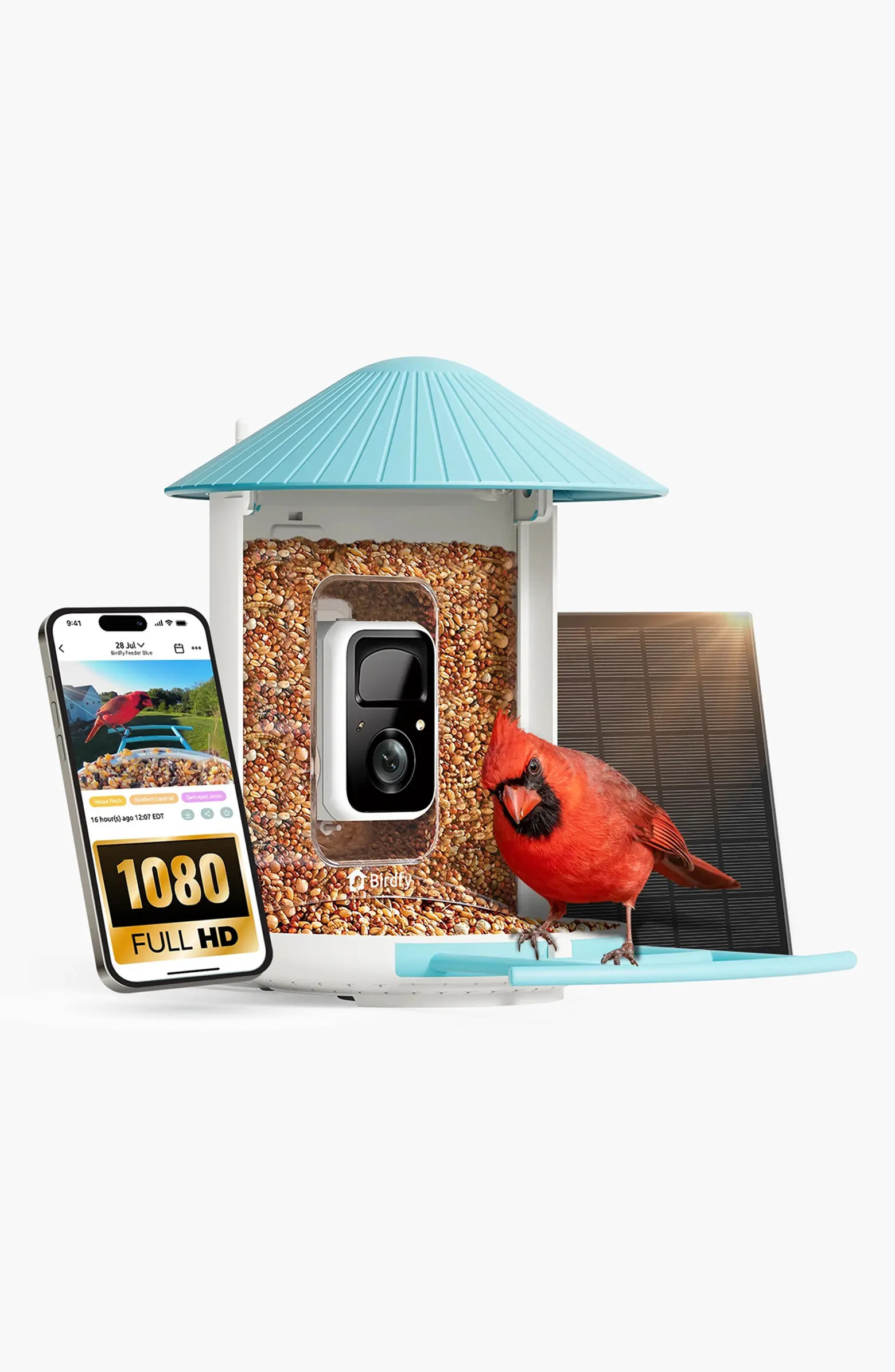 Solar-Powered Smart Bird Feeder with Camera | Nordstrom