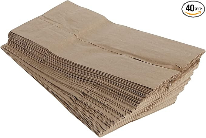 AJM Brown Paper Lunch Bags 40 Count | Amazon (US)