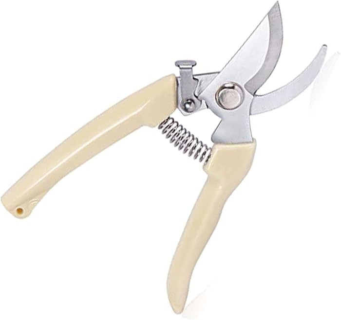 Brand: yolmooat | Amazon (US)