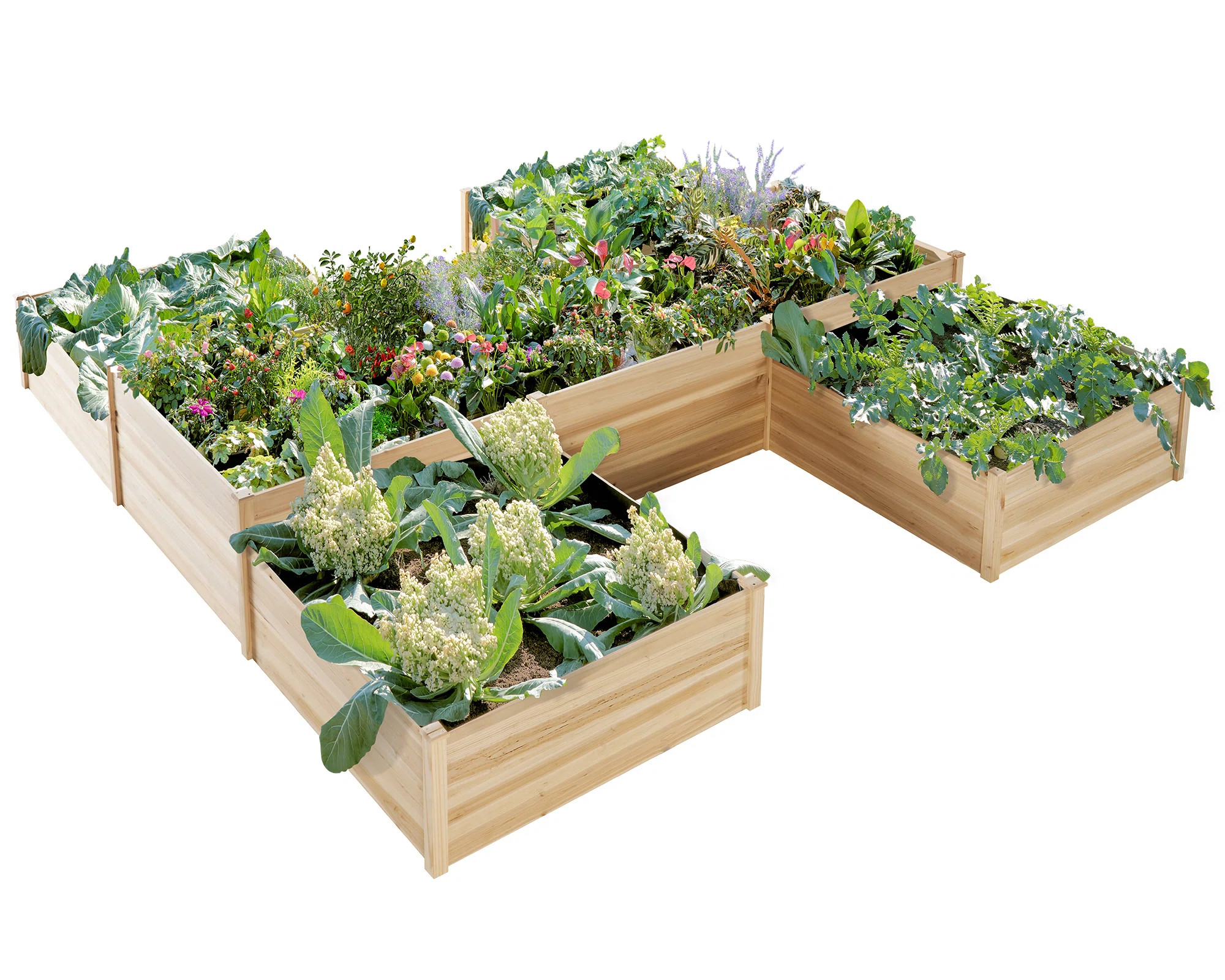 Yadid Raised Garden Planter, 12x12x2 ft H-Shaped Raised Garden Beds, 180 cu. ft Capacity, Wooden ... | Wayfair North America