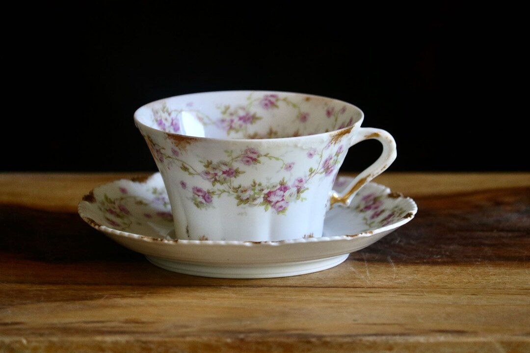 Vintage Theodore Haviland Limoges France Norma Cup and Saucer, French Victorian Tea Set, Antique ... | Etsy (US)