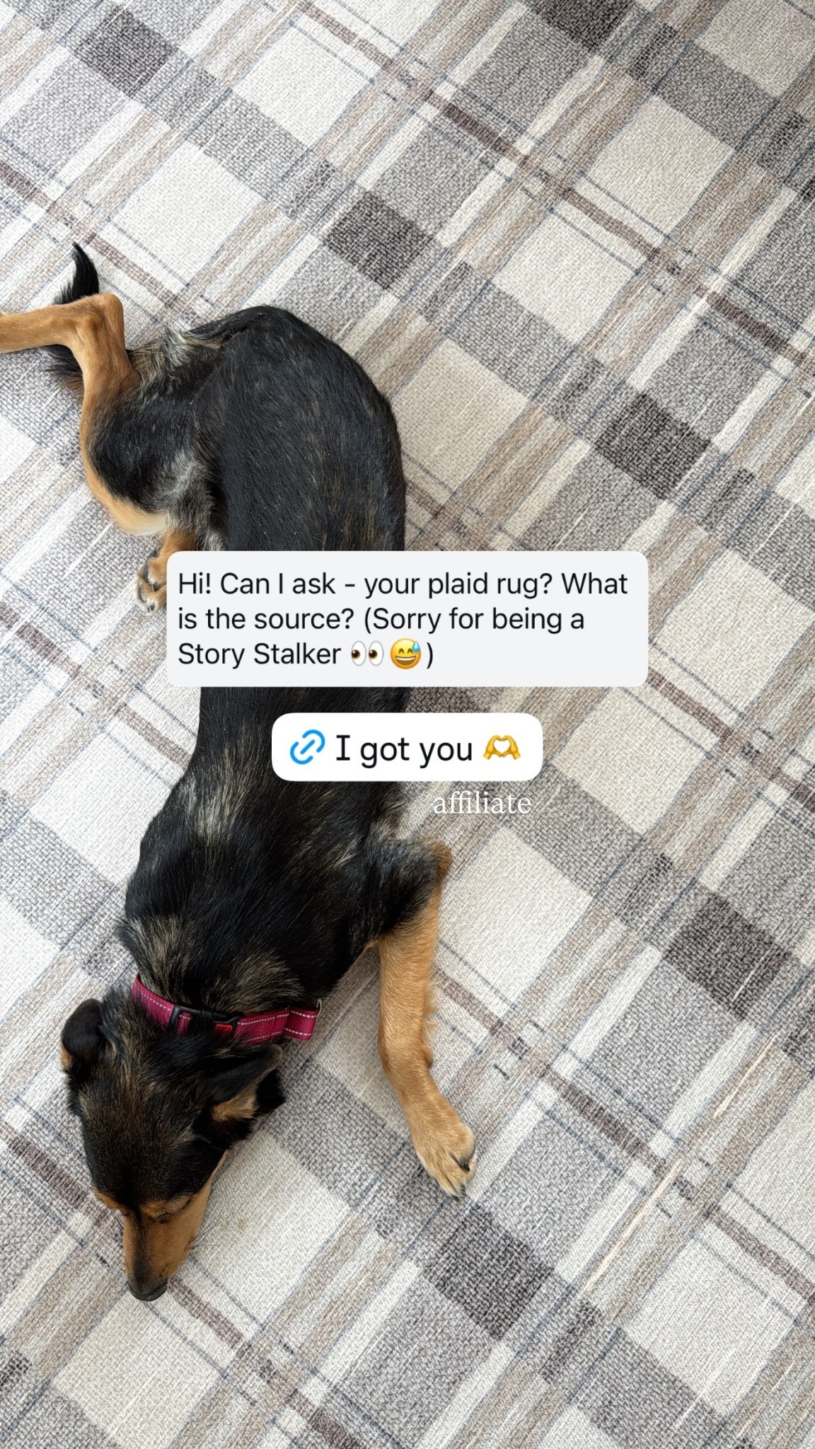 Our cute plaid rug in the bunk room at the Red House

#LTKHome