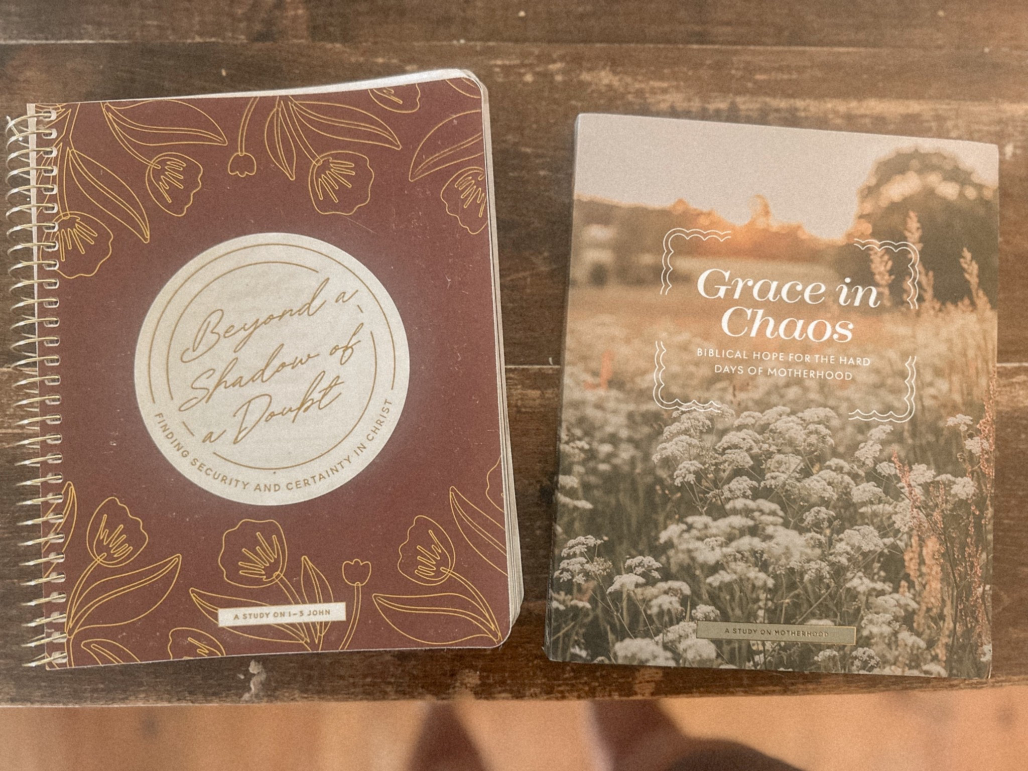 The beyond the shadow of a doubt devotional (study of 1-3 John) is SO GOOD!!! The Grace in chaos is my next Bible study once I finish 1-3 John! They are running a huge sale!! So many good devotionals! 