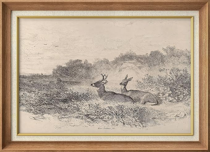 SIGNWIN Premium Frame Art Classic Wildlife Sketch Deer Duo in Wilderness Illustrations Fine Art T... | Amazon (US)