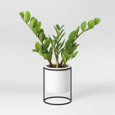 Medium Artificial ZZ Plant in White Ceramic Pot Green - Project 62™ | Target