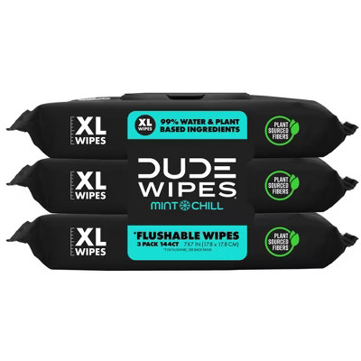 Dude Wipes Mint Chill Flushable Wipes - 3pk/48ct | Target