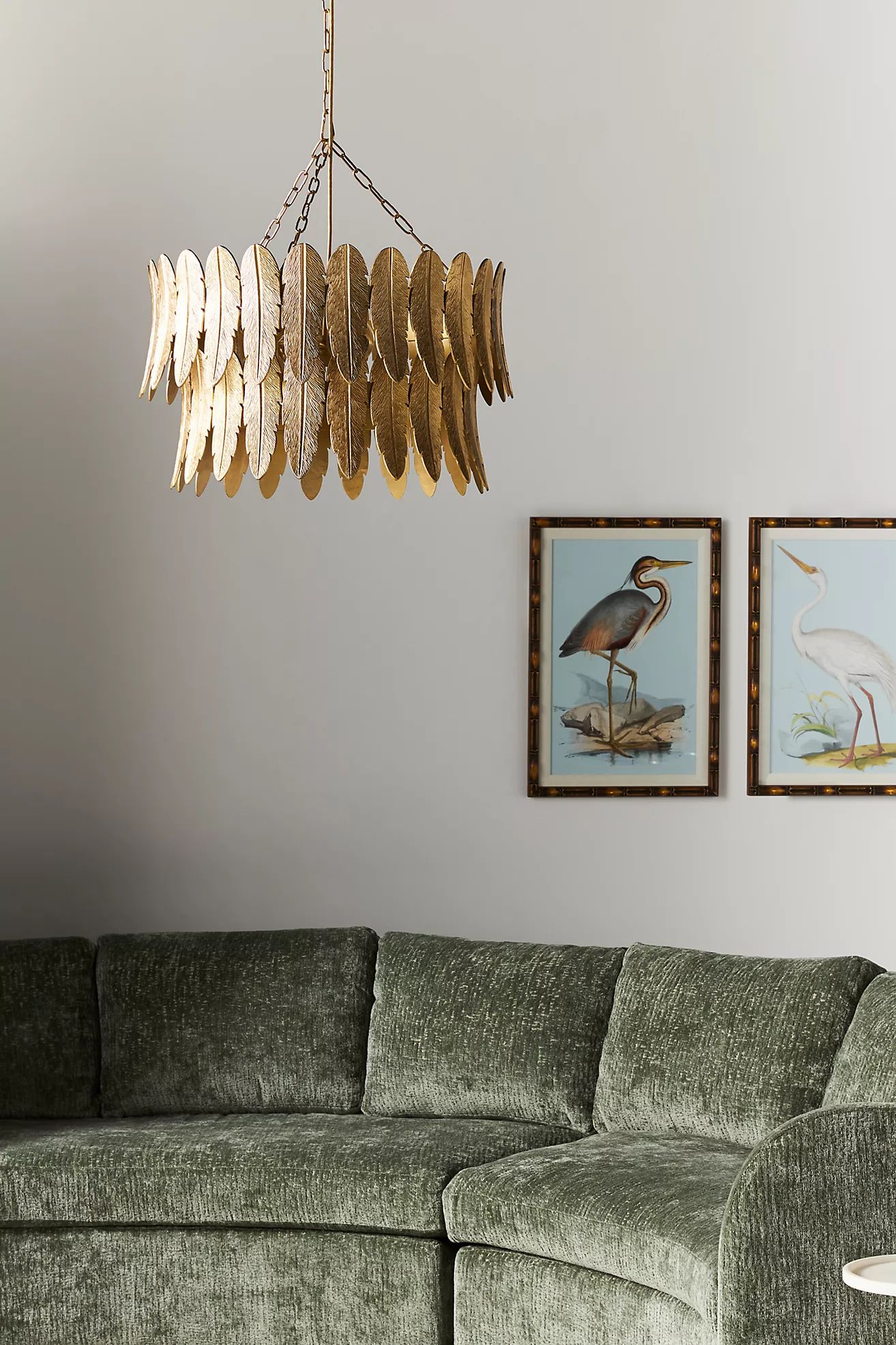 Quill Feather Chandelier | Anthropologie (US)