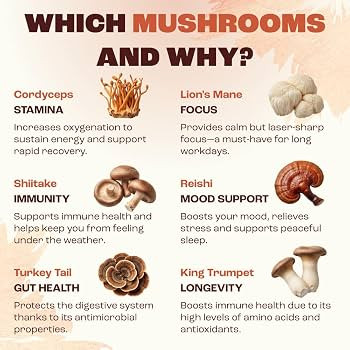 RYZE SUPERFOODS Mushroom Medium Roast Coffee USDA Organic with 6 Adaptogenic Mushrooms, USA Grown... | Amazon (US)