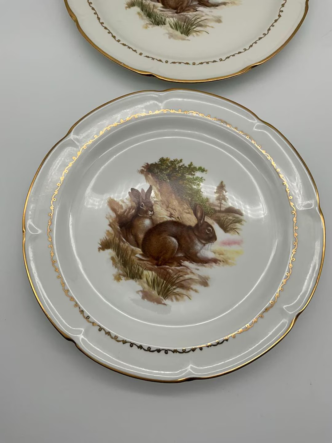 French Vintage Collectable 2 Rabbit Themed Plates Made by Porcelaine De Vierzon. - Etsy | Etsy (US)