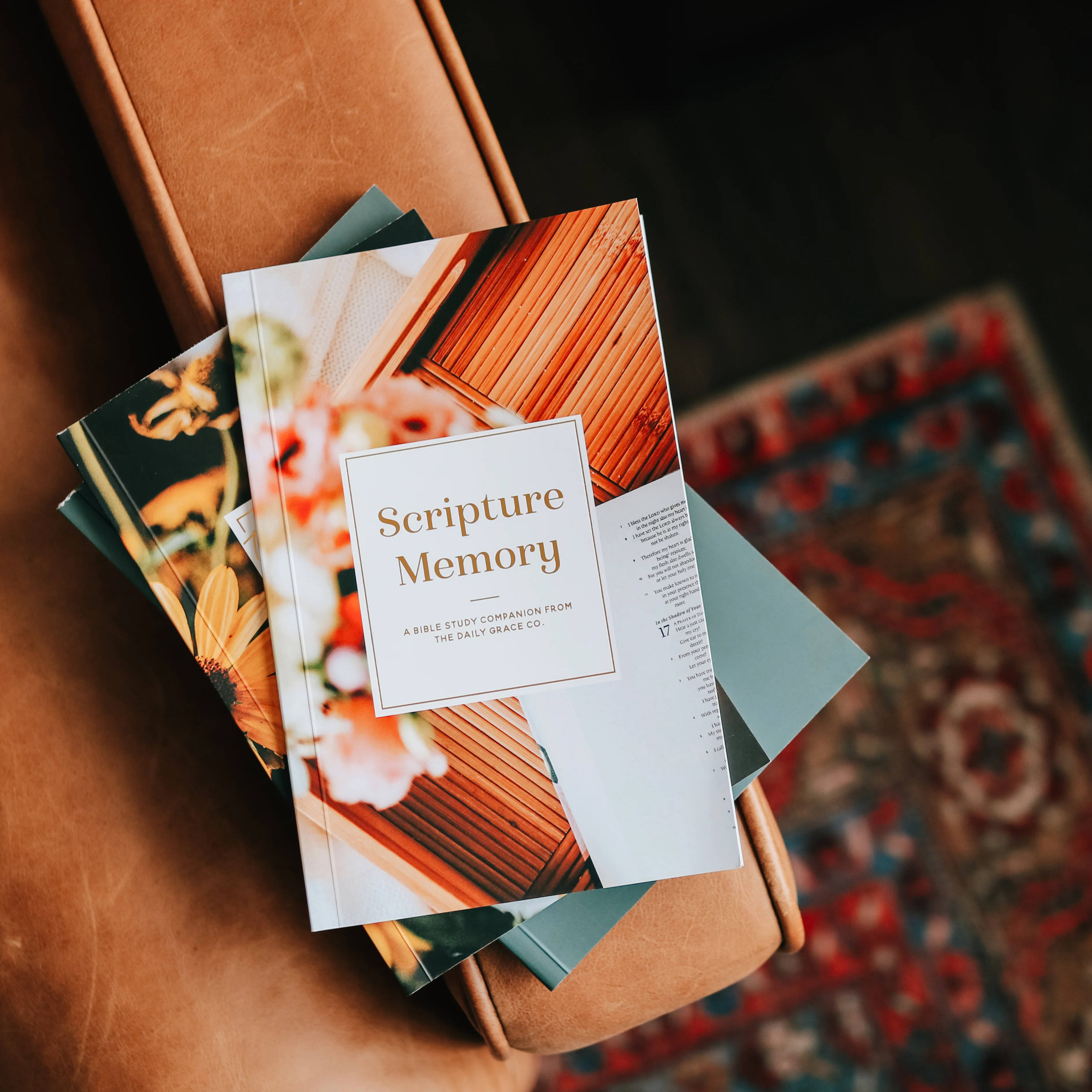 Scripture Memory Guide | The Daily Grace Co.