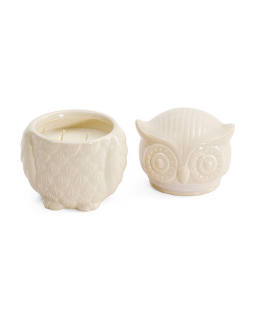 13oz Ceramic Owl Autumn Harvest Candle | TJ Maxx