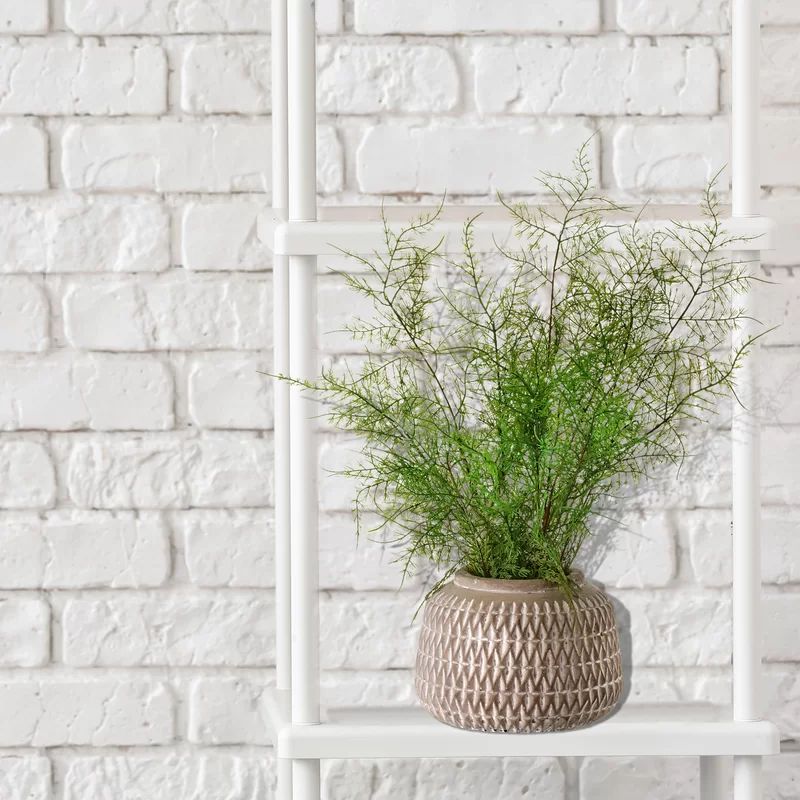 12'' Artificial Fern Plant in Pot | Wayfair Professional