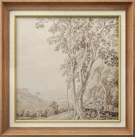 MUDECOR Premium Framed Wall Art Classic Scenic Landscape with Trees Classic Vintage Illustrations... | Amazon (US)