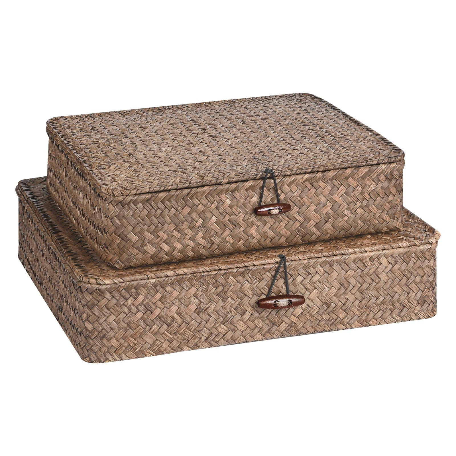 Set of 2 Flat Seagrass Storage Bins with Lid Wicker Storage Baskets for Organizing, Woven Shelf O... | Amazon (US)