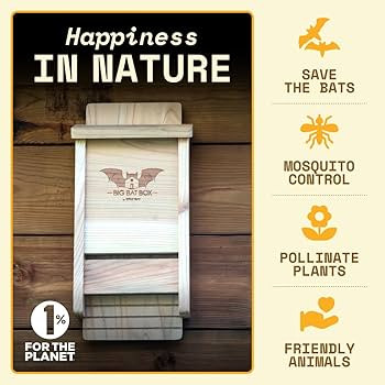 BIGBATBOX - Complete Bat House for Outdoors - Clean Backyard from Mosquitoes - No Interior Paint ... | Amazon (US)